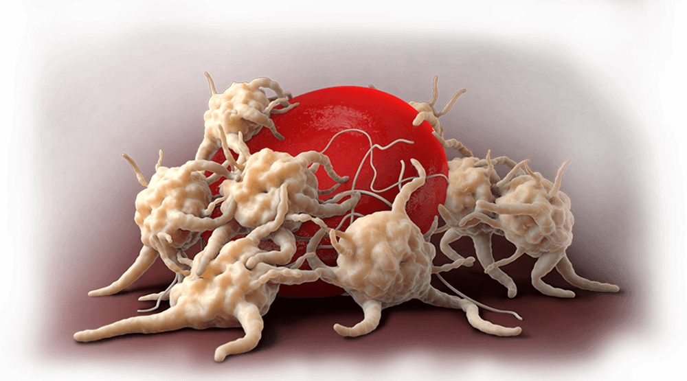 KENGREAL® is the first and only intravenous P2Y12 receptor inhibitor
