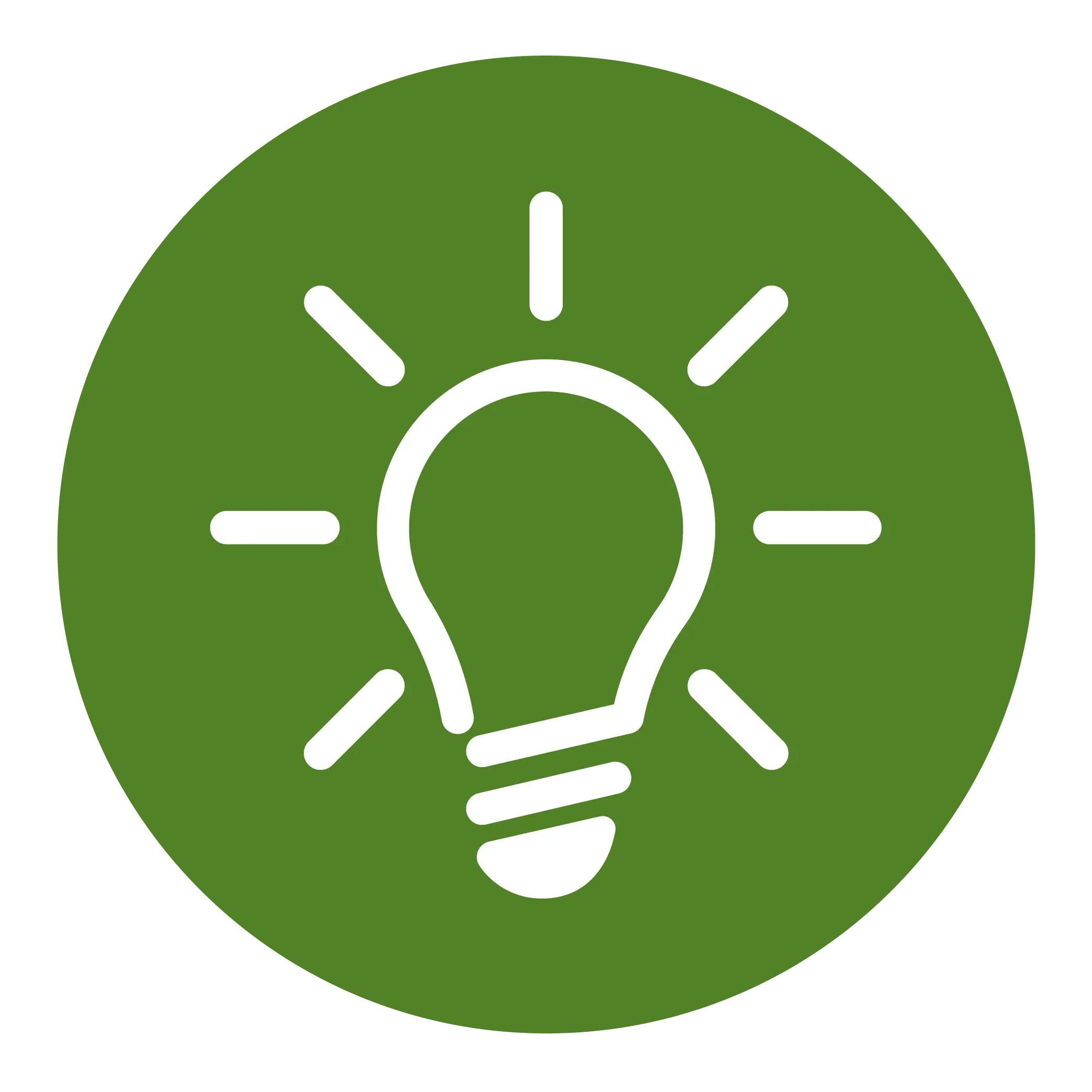 lightbulb icon